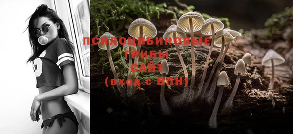 MDMA Premium VHQ Новодвинск