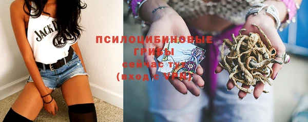 ешки Нея