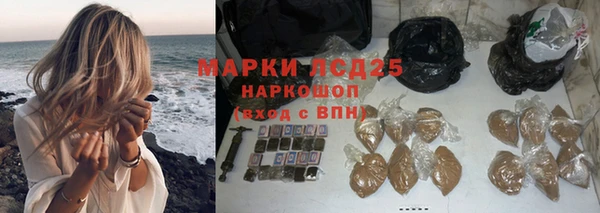прущие крисы Кропоткин