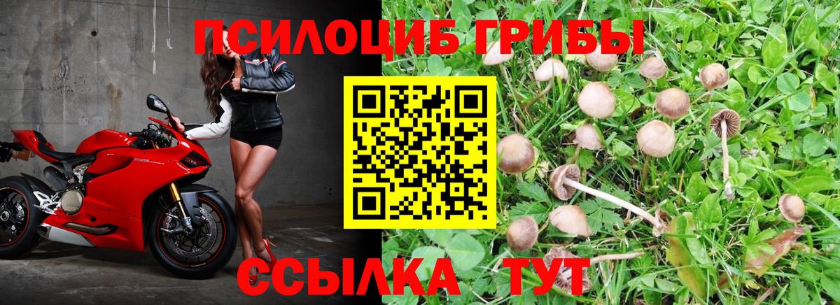 Псилоцибиновые грибы Cubensis  Галлюциногенные грибы мухоморы  купить наркотик  Вход с VPN  Слободской 